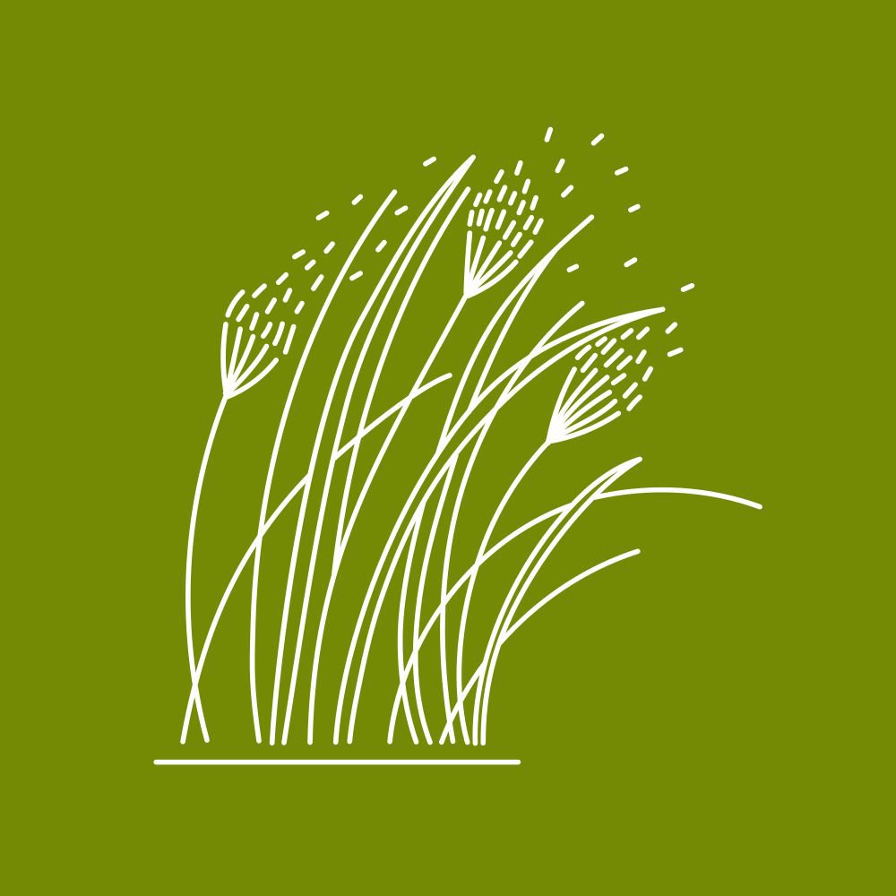 Was hat es mit den Wilden Wiesen auf&nbsp;sich?