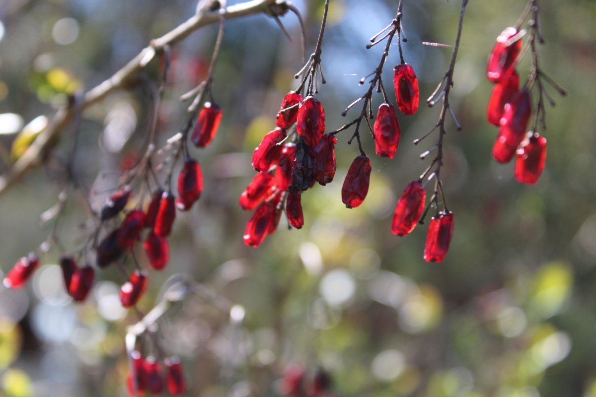 Vorschau auf meine&nbsp;Angebote