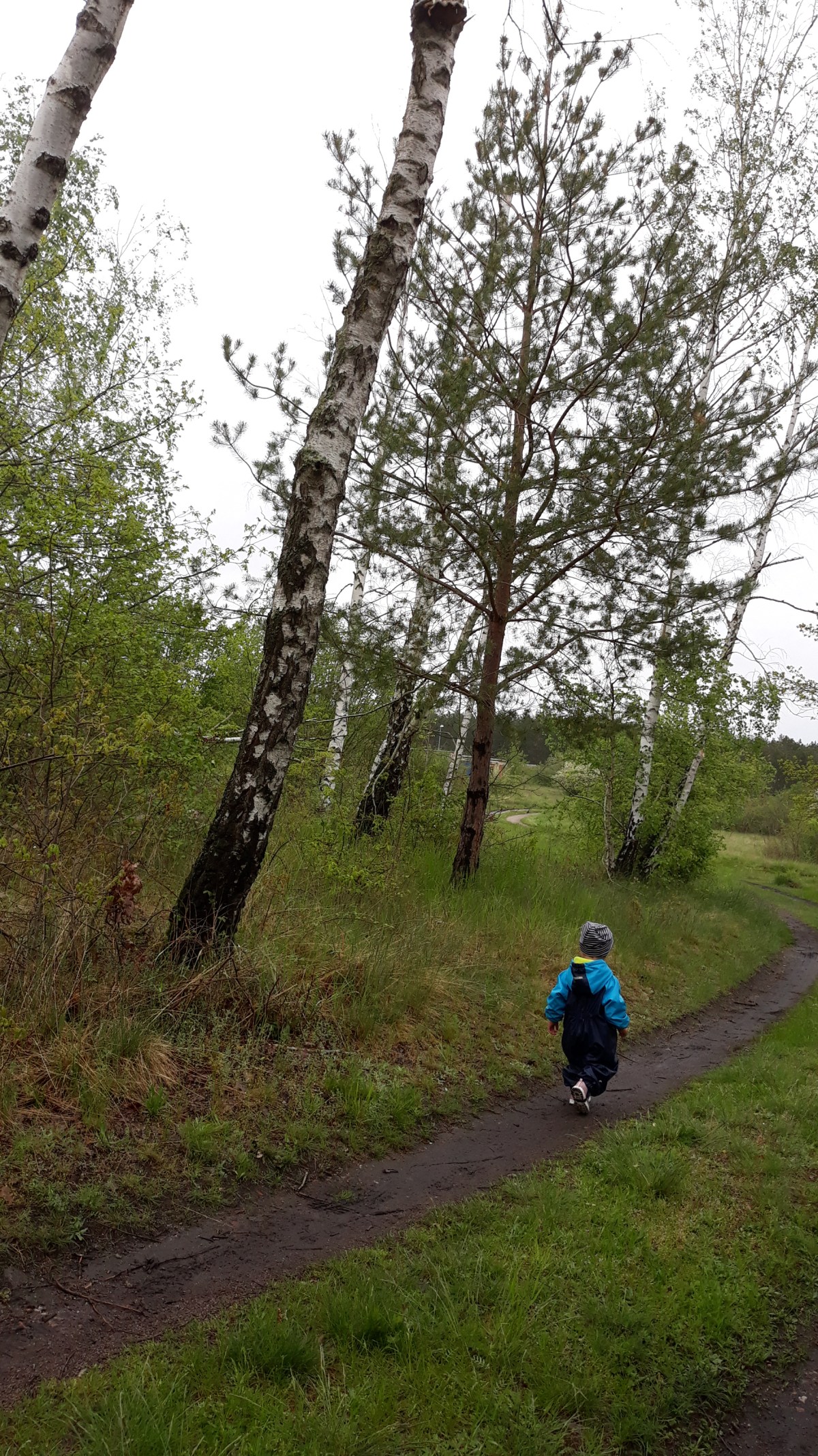 Heute sind die Wilden Wiesen nicht im Mehrgenerationenhaus anzutreffen!