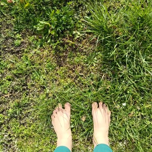 Barfußgehen zur Erdung in der Natur