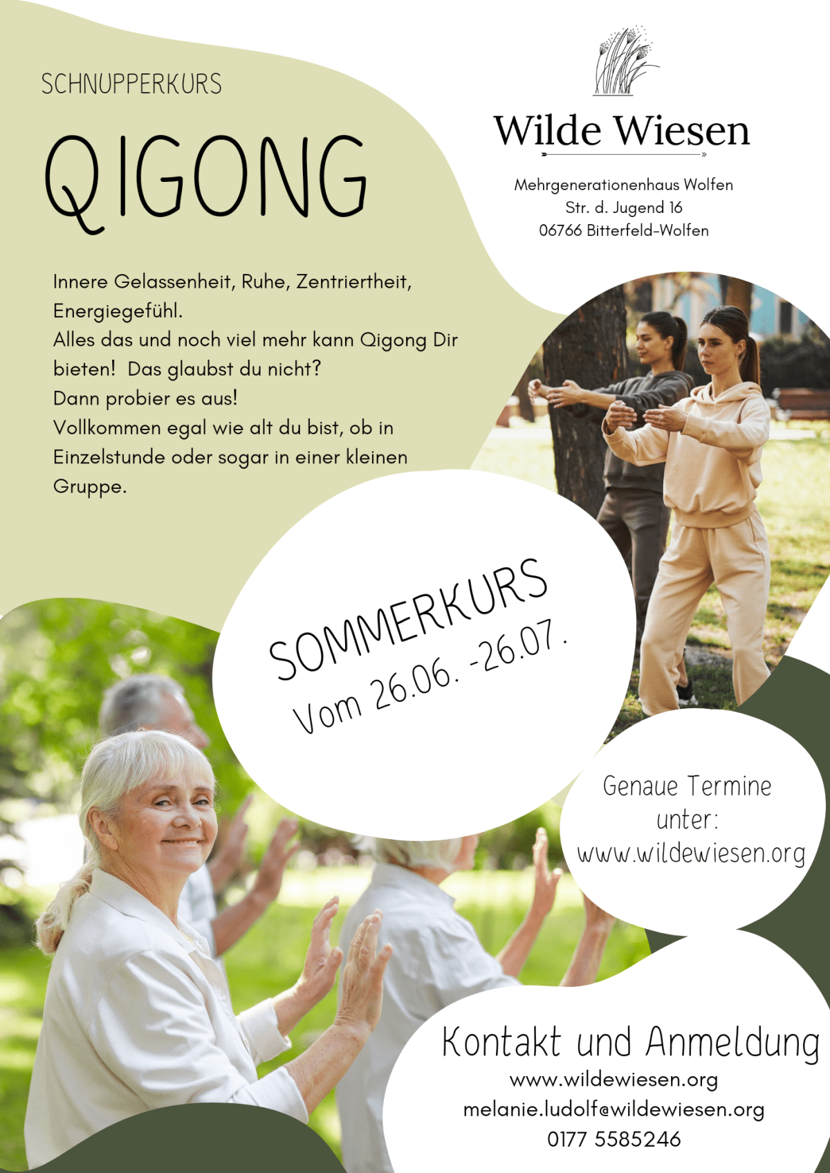 Sommerkurs Qigong