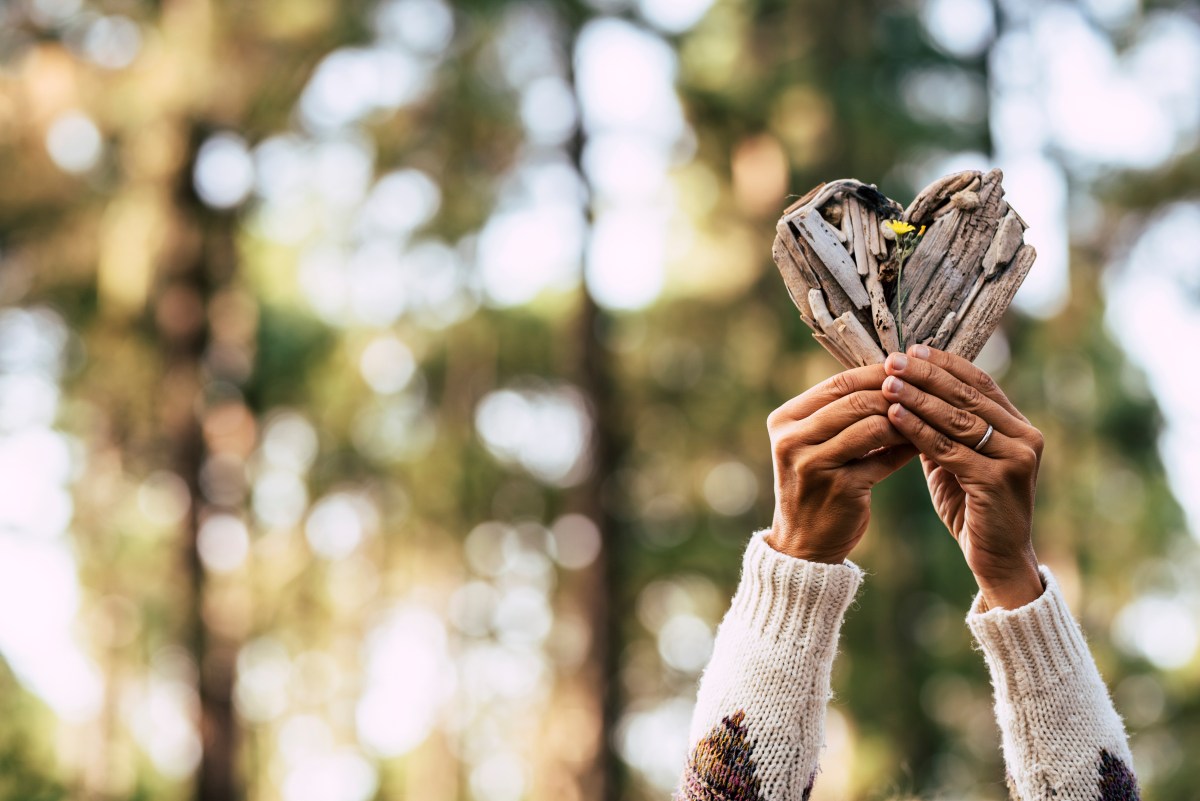 Jahreskreis-Reise – Dein Weg zu dir&nbsp;Selbst