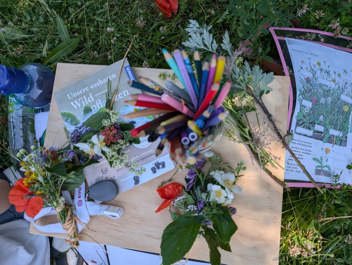 Wiesenprojekt: Naturerleben und Lernen für Grundschulkinder