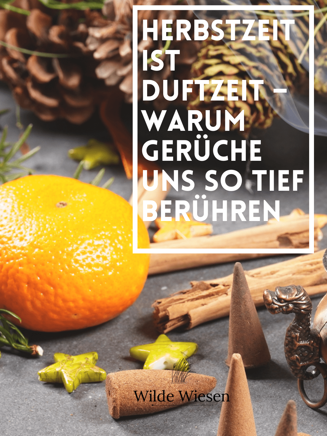 Herbstzeit ist Duftzeit – Warum Gerüche uns so tief&nbsp;berühren