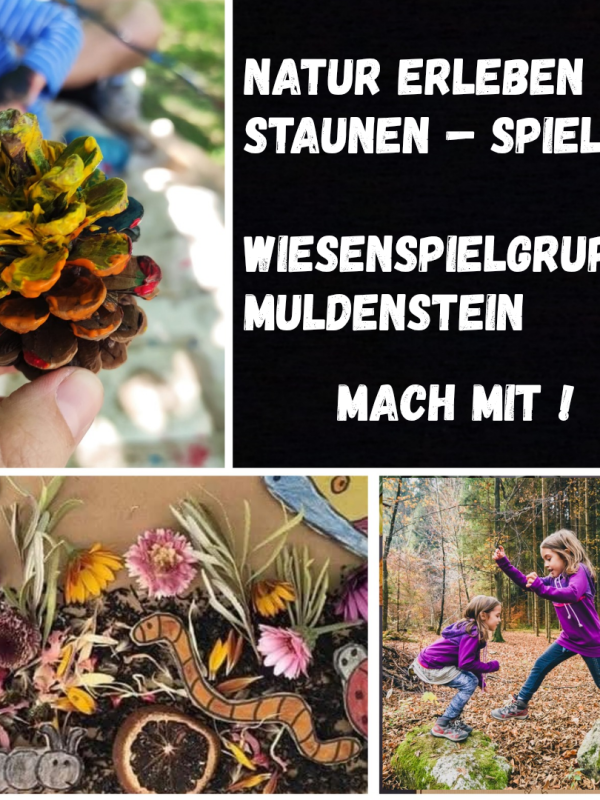 Neue Wiesenspielgruppe!